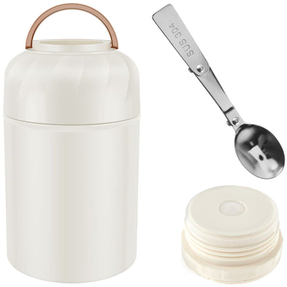 Insulated Stainless Steel Lunch Box Set with Carrying Bag